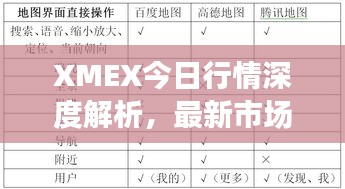 XMEX今日行情深度解析，最新市场动态一网打尽