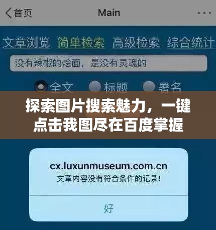 探索图片搜索魅力，一键点击我图尽在百度掌握