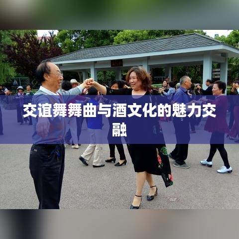 交谊舞舞曲与酒文化的魅力交融