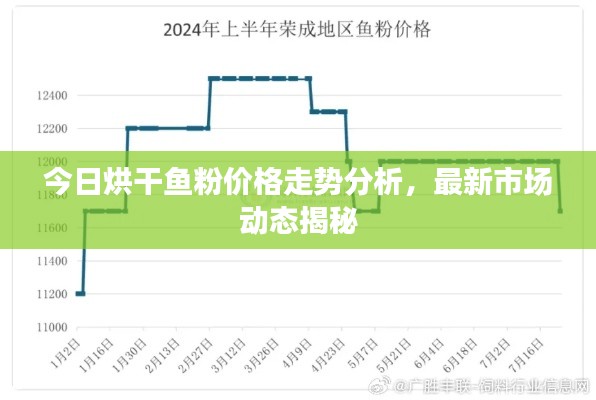 今日烘干鱼粉价格走势分析，最新市场动态揭秘