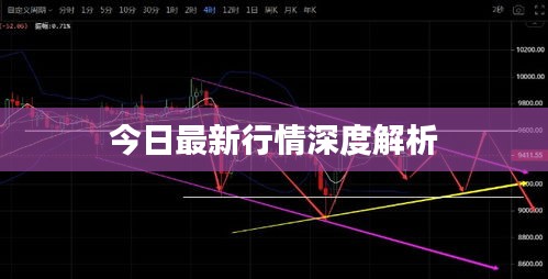 2025年2月13日 第11页