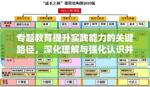 专题教育提升实践能力的关键路径，深化理解与强化认识并行