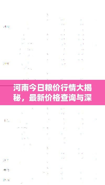 河南今日粮价行情大揭秘，最新价格查询与深度分析