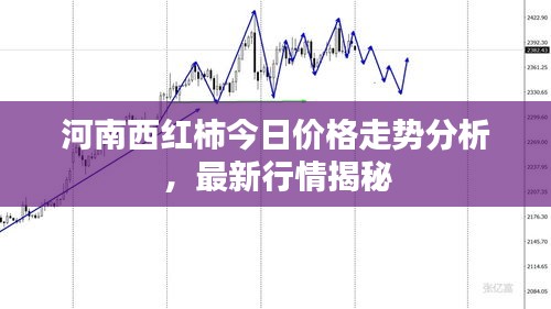 河南西红柿今日价格走势分析，最新行情揭秘