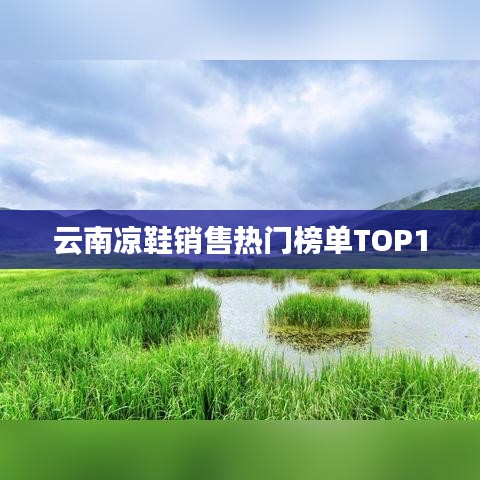 云南凉鞋销售热门榜单TOP10