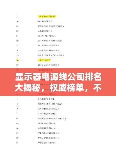 显示器电源线公司排名大揭秘，权威榜单，不容错过！