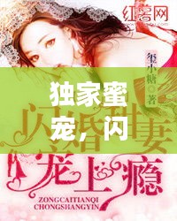 独家蜜宠，闪婚奇缘的奇妙旅程