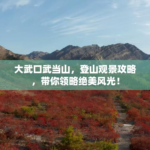 大武口武当山，登山观景攻略，带你领略绝美风光！