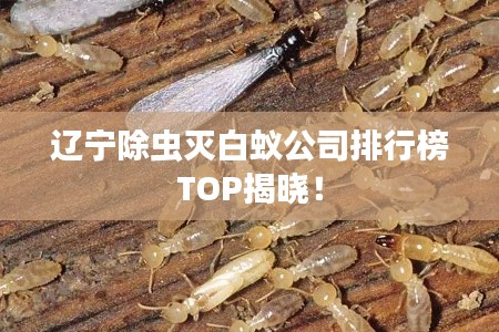 辽宁除虫灭白蚁公司排行榜TOP揭晓！