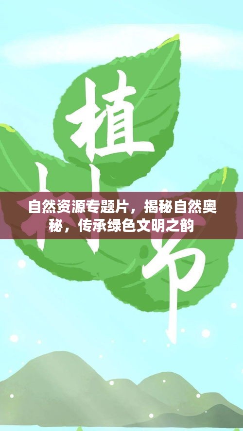 自然资源专题片，揭秘自然奥秘，传承绿色文明之韵