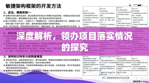 深度解析，领办项目落实情况的探究