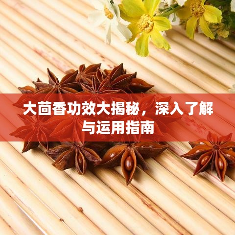 大茴香功效大揭秘，深入了解与运用指南