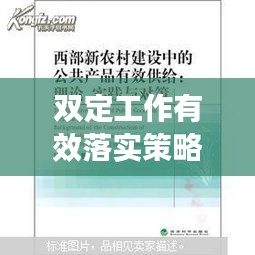 双定工作有效落实策略与方法