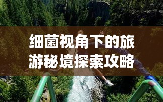 细菌视角下的旅游秘境探索攻略