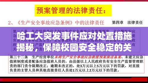 哈工大突发事件应对处置措施揭秘，保障校园安全稳定的关键行动