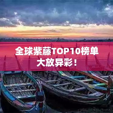 全球紫藤TOP10榜单大放异彩！