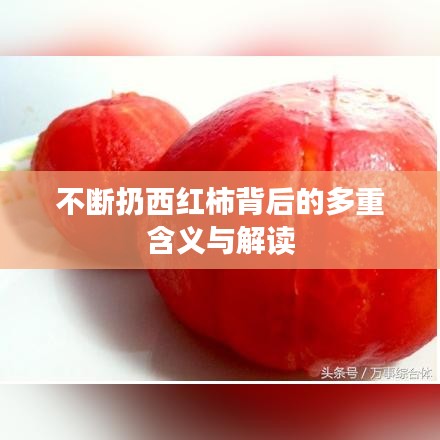 不断扔西红柿背后的多重含义与解读