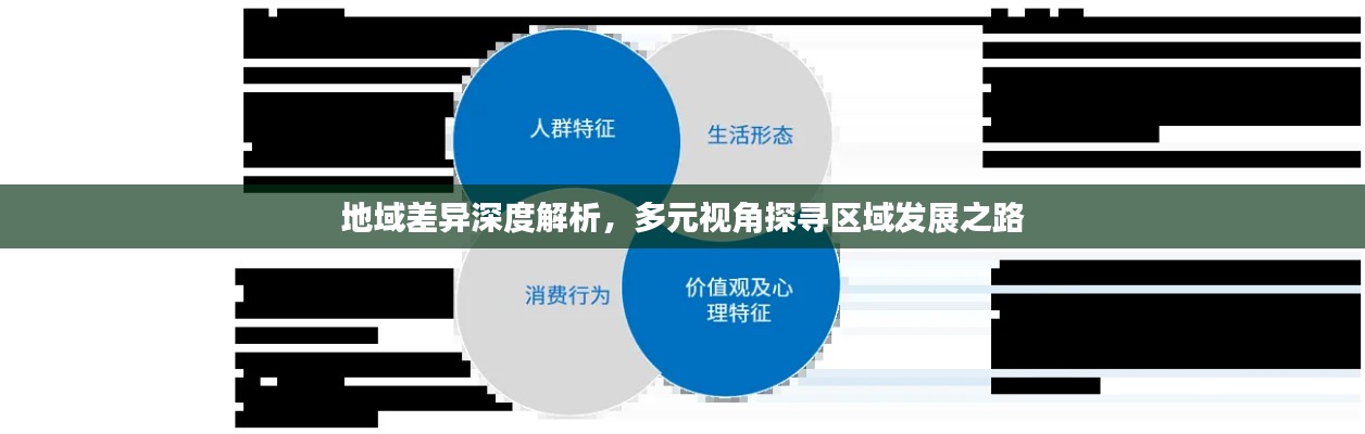 地域差异深度解析，多元视角探寻区域发展之路