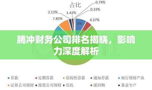 腾冲财务公司排名揭晓，影响力深度解析