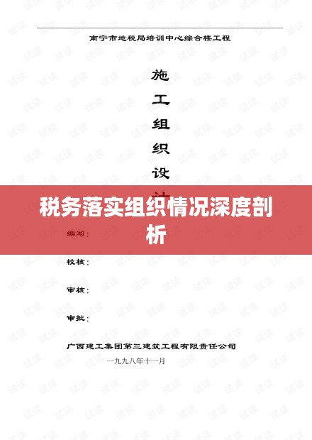 税务落实组织情况深度剖析