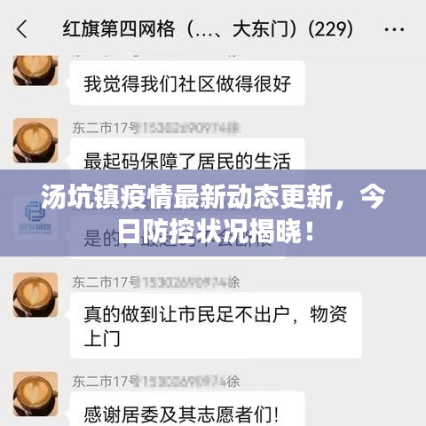 汤坑镇疫情最新动态更新，今日防控状况揭晓！