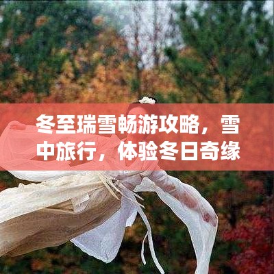 冬至瑞雪畅游攻略，雪中旅行，体验冬日奇缘