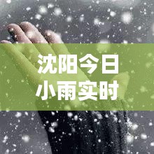 沈阳今日小雨实时报道