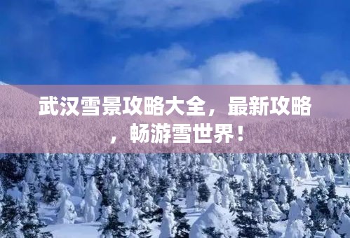 武汉雪景攻略大全，最新攻略，畅游雪世界！