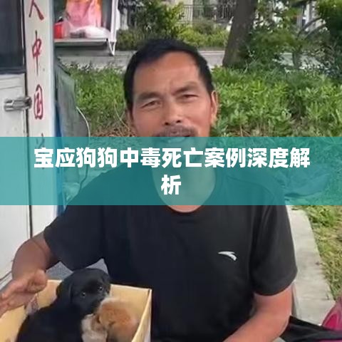 宝应狗狗中毒死亡案例深度解析