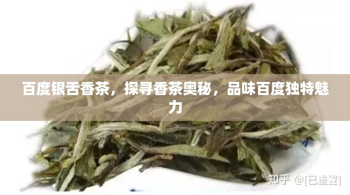 百度银舌香茶，探寻香茶奥秘，品味百度独特魅力