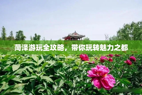 菏泽游玩全攻略，带你玩转魅力之都