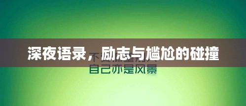 2025年2月20日 第11页