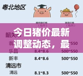 今日猪价最新调整动态，最新消息一览