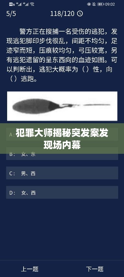 犯罪大师揭秘突发案发现场内幕