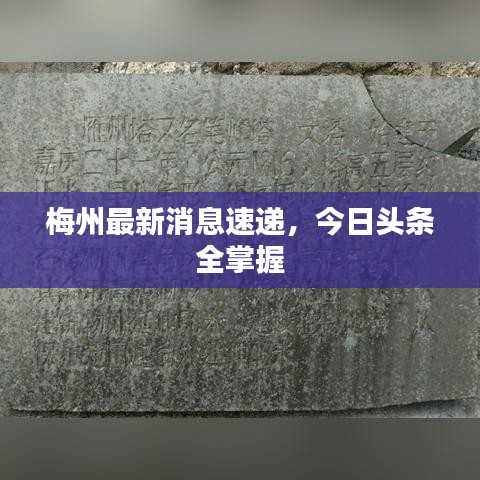 梅州最新消息速递，今日头条全掌握