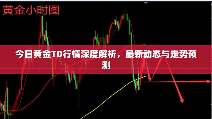 今日黄金TD行情深度解析，最新动态与走势预测