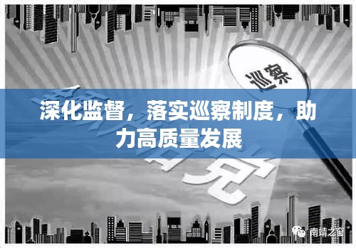 深化监督，落实巡察制度，助力高质量发展