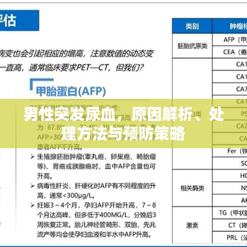 男性突发尿血，原因解析、处理方法与预防策略