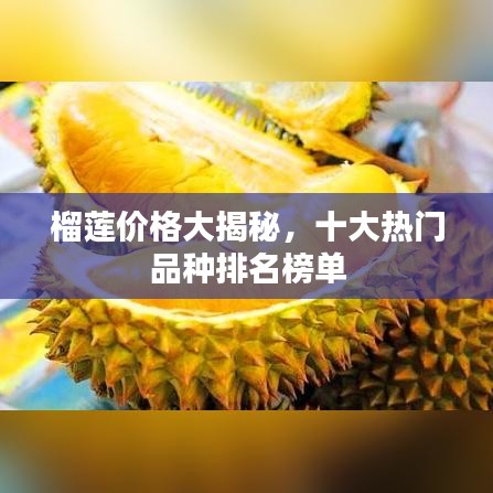 榴莲价格大揭秘，十大热门品种排名榜单