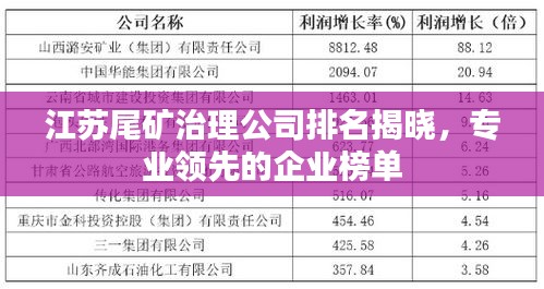 江苏尾矿治理公司排名揭晓，专业领先的企业榜单