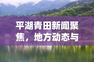 平湖青田新闻聚焦，地方动态与经济文化的蓬勃发展