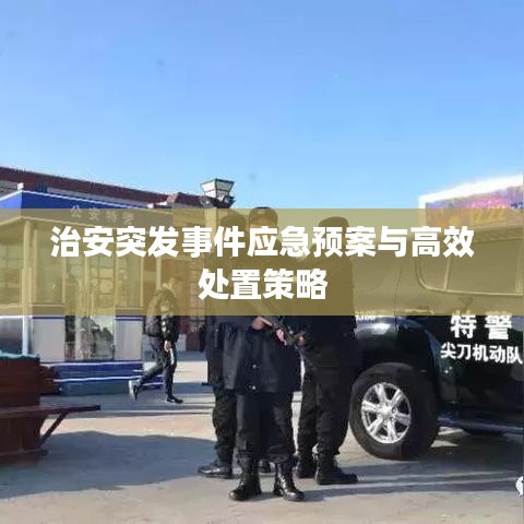 治安突发事件应急预案与高效处置策略