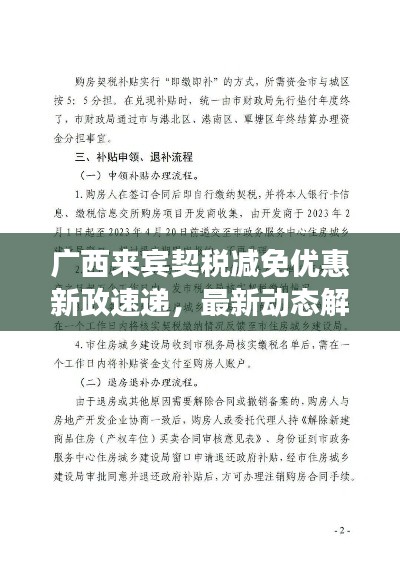 广西来宾契税减免优惠新政速递，最新动态解读