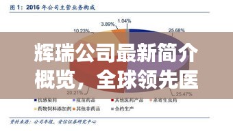 辉瑞公司最新简介概览，全球领先医药巨头的发展脉络与成就