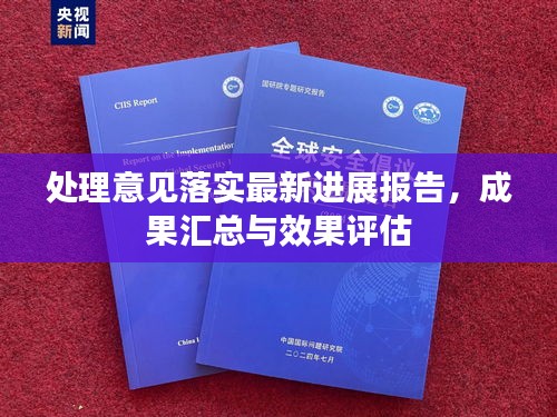 处理意见落实最新进展报告，成果汇总与效果评估