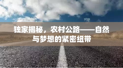 独家揭秘，农村公路——自然与梦想的紧密纽带