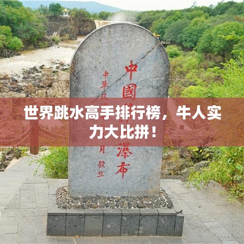 世界跳水高手排行榜，牛人实力大比拼！