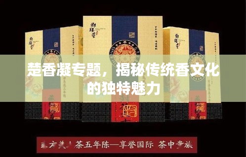 楚香凝专题，揭秘传统香文化的独特魅力