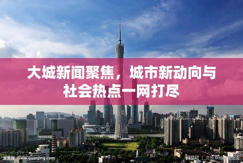 大城新闻聚焦，城市新动向与社会热点一网打尽