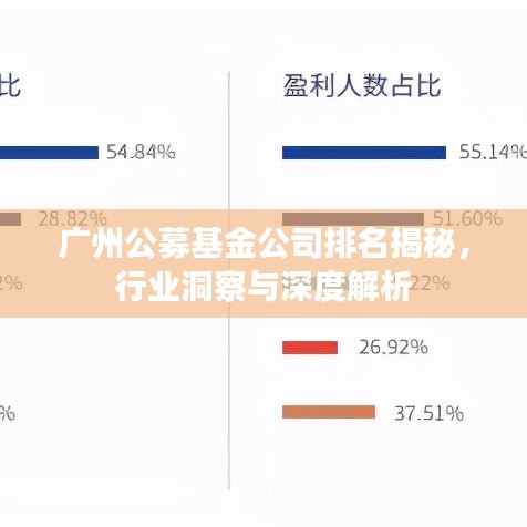 广州公募基金公司排名揭秘，行业洞察与深度解析